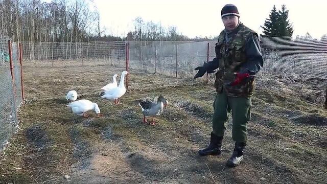 [Деревенский блокнот] Про некоторые особенности интимной жизни в деревне.