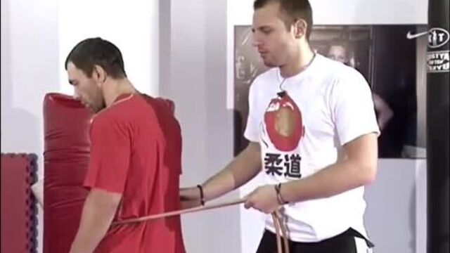 SOFT Culture СФП для единоборств (архив)