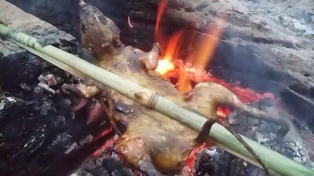 Primitive Times- Ловушка на белку и как приготовить её на костре