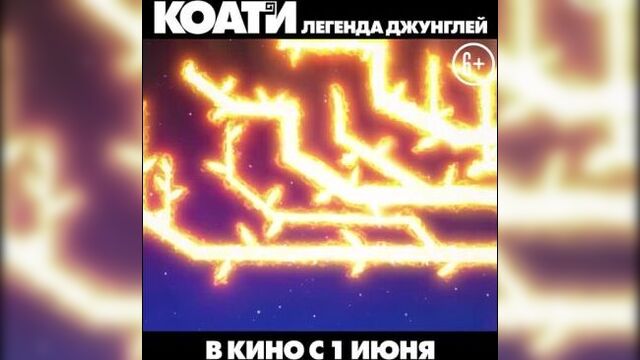 Коати. Легенда джунглей