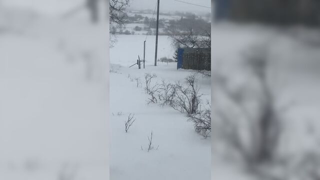 Зима не даром злится...