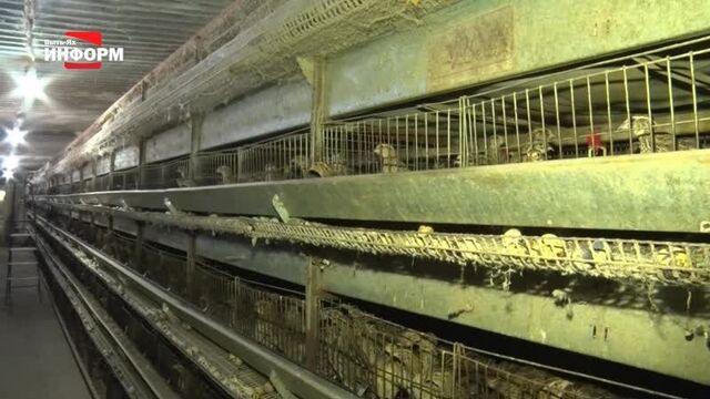 Фермерское хозяйство Захаровых