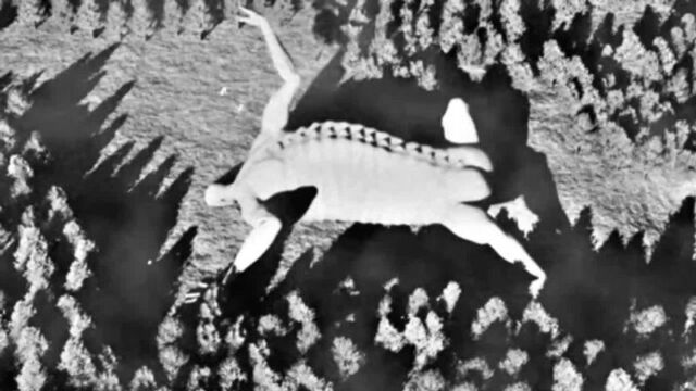 Animeblog | Исторический футаж Атаки Титанов