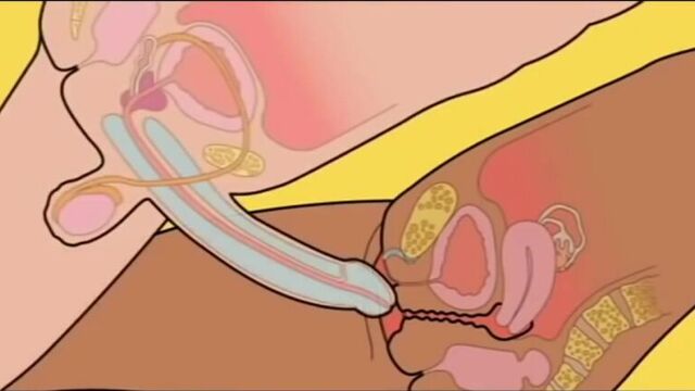 Видео урок как правильно заниматься сексом ПРИКОЛ