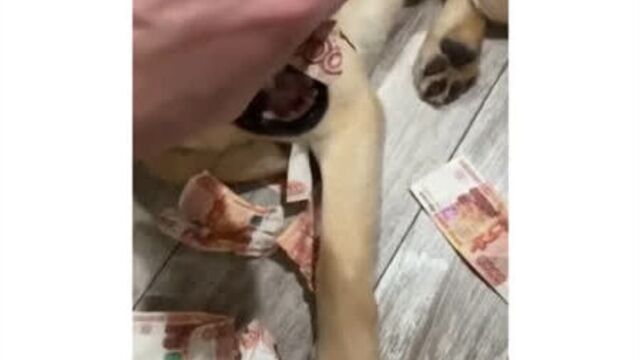 Video by Ор выше гор