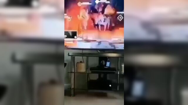 Ор выше гор
