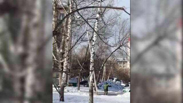 Нападение на сотрудницу "Горзеленхоз" в Новосибирске