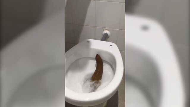 Самая длинная какашка в мире, которую невозможно смыть