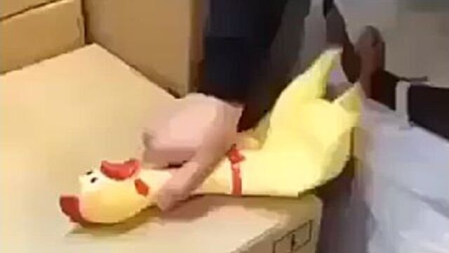 Ненормальный мужчина трахает курицу или секс с цыпочкой