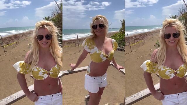 Britney Spears nude