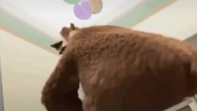 ЗОО ПОРНО С МЕДВЕДЕМ В HD КАЧЕСТВЕ РУССКИЙ МУЖИК ВЫЕБАЛ МЕДВЕДЯ В ЖОПУ И СЛАДКО КОНЧИЛ В АНАЛ