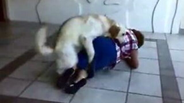 Собака трахает человека О_О