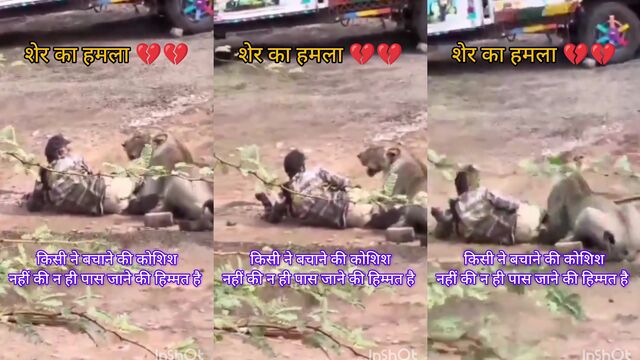 शेर ने चू #त मारी