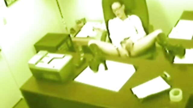 A secretary is having sex with her boss in a professional setting