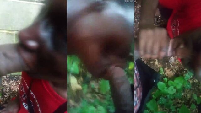 Arreganho minha xota pequena quando fui no Mato botar uma tora de pau