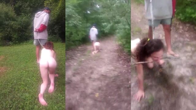 A walk with the pet can become a place for humiliation