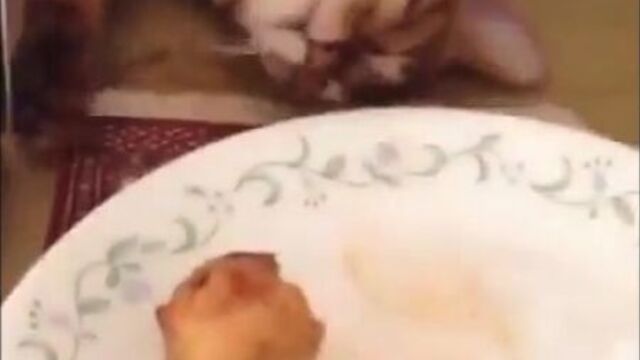 Главное притвориться спящим