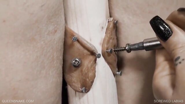 Abby and Jessica get their labias screwed in a BDSM twist