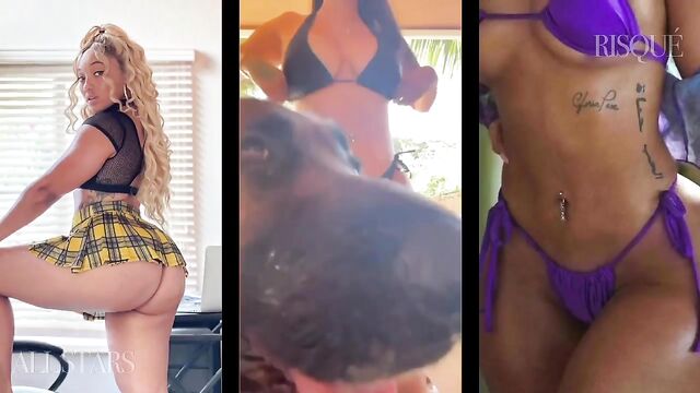 Compilation of the best Mega Mix Videos