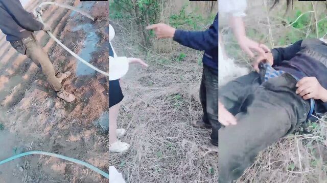 A lucky farmer met an Asian slut who loved to give blowjobs