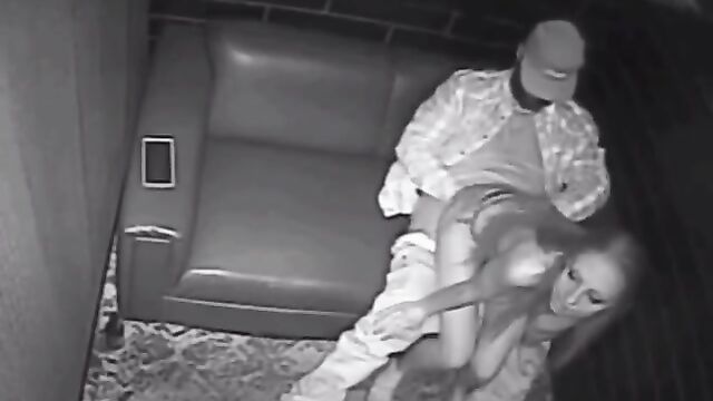 A stripper has sex with a client in the VIP room