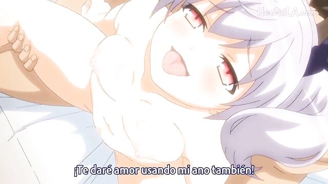 Sub esp night tail, the best hentai to end your day with passion