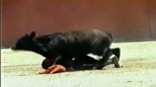 Бык трахнул женщину-карлика-тореодора ЫЫЫЫЫЫЫ