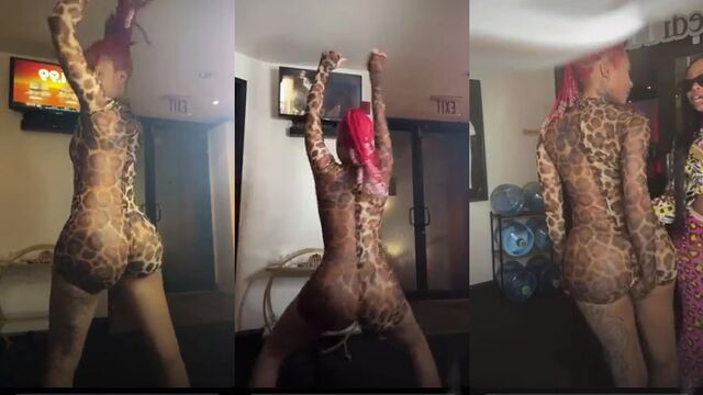 Rapper fucks a girl with his huge cock