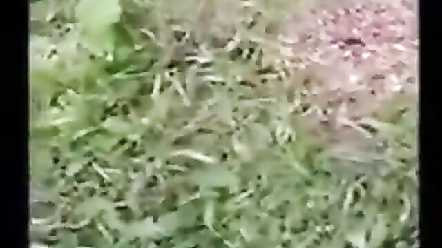 Fuderam a novinha in the woods, a super hot scene you should see!