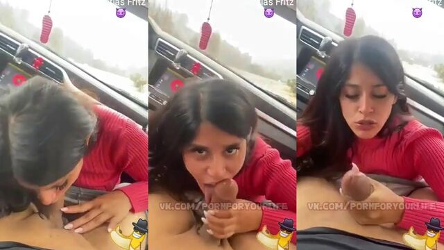 A lot of desire and passion in the car with a hot Latina