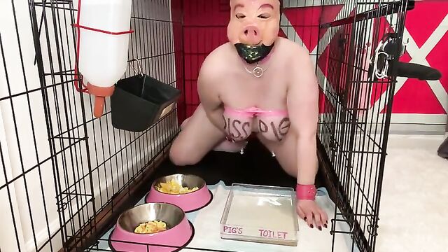 Submissive pigs get fucked hard by their dominant masters