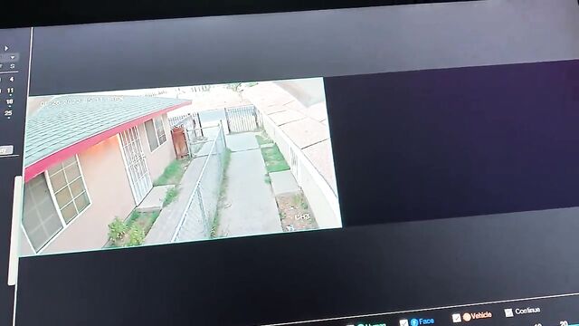 I fell asleep watching the IPCAM but it was a fun surprise
