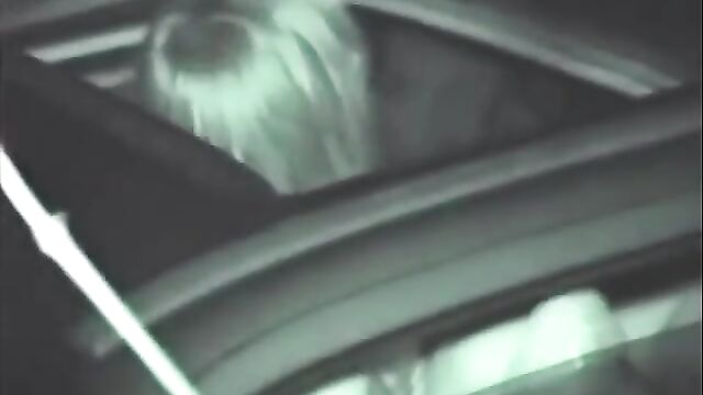 A couple has been caught on camera making love right in their car