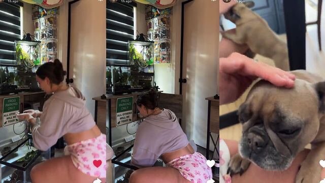 Abby 214 is a great example of passionate balcony sex with amateurs