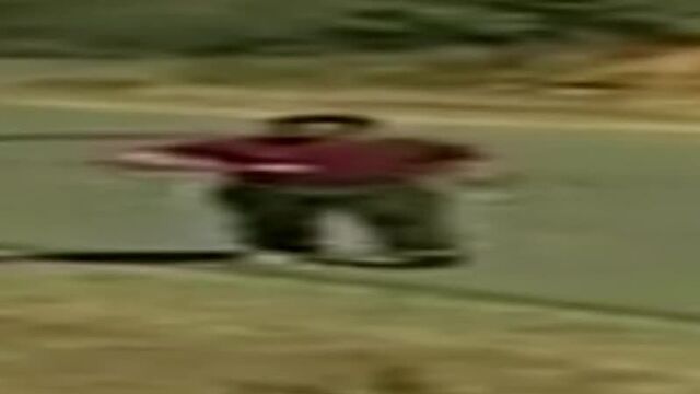 Широкий Стив Рэмбо гуляет по лесу