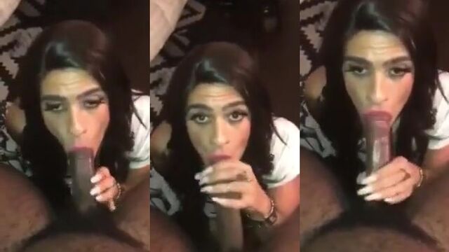 Chewing on that dick with the kind of hunger you’d expect from a hungry bitch