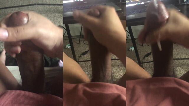 I was woken up by a sexy Melody Monae