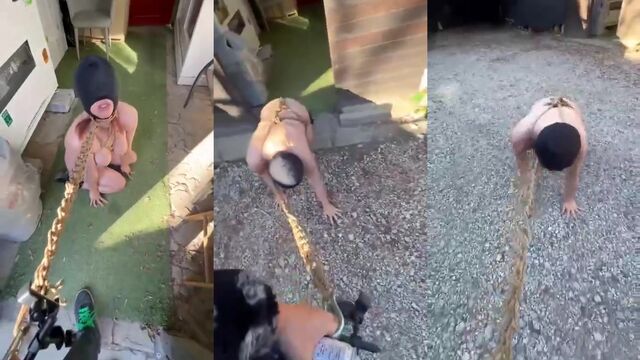 I found that brown-haired chick wandering around with Pet | Lanna Belford |