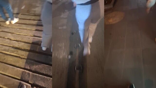 A fat and juicy ass is walked by its owner