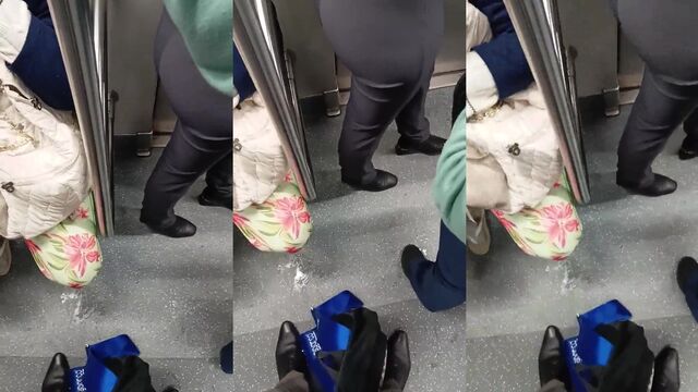 Morena Rabuda is a very tasty novice who was filmed on the train