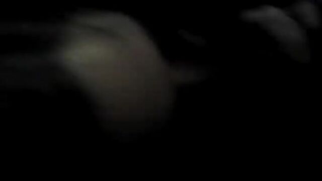 Retro videos with various Argentine content