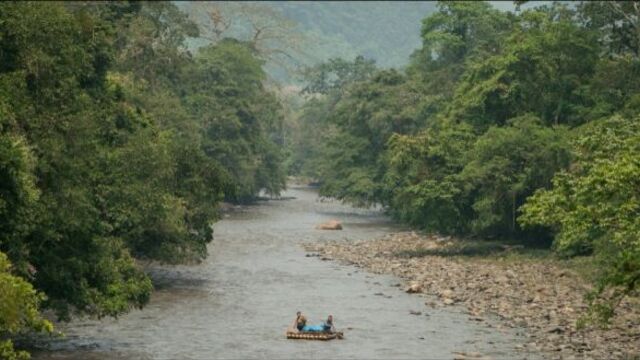Премьера дублированного трейлера "Джунгли" с Дэниэлом Рэдклиффом в главной роли.