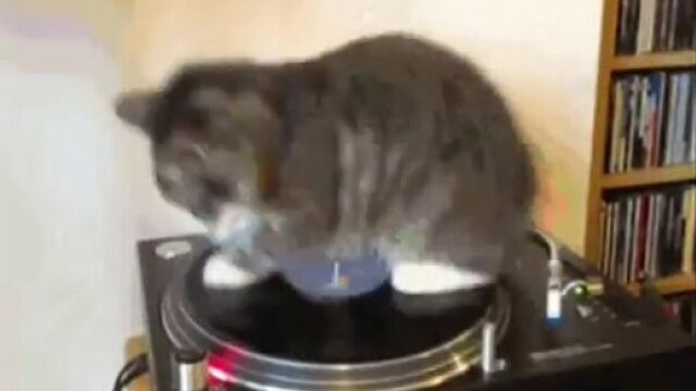 Анна Кошмал - ВАЛЬС песня из фильма СВАТЫ 6)