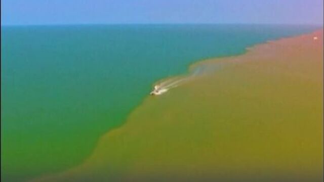 Желтая река Хуанхэ впадает в море