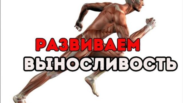 Как стать выносливым БЕЗ вреда для сердца