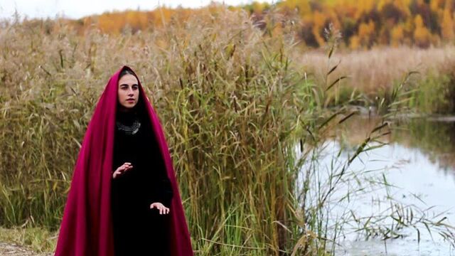 Ехали казаки из Дону до дому (песня про Галю)