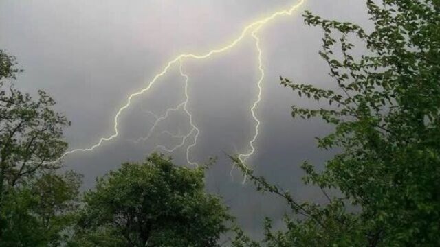 Хочу пожрать TV / Психоделика / remix / пародия / Три в одном