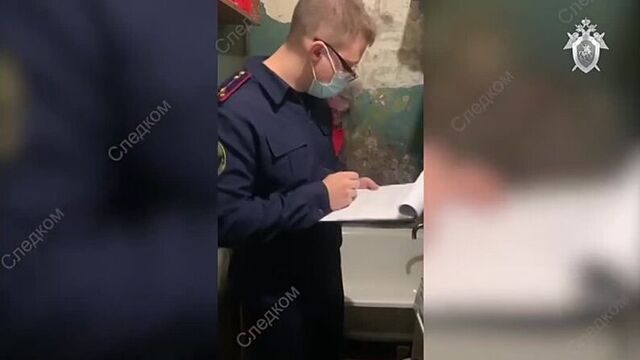 12/11/21, деревня Горбунки Ленинградской области