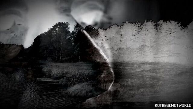 [WorldBegemotKot † Страшные истории †] Страшные истории на ночь - ЛЕСНЫЕ ТВ*РИ Страшилки на ночь,мистика.