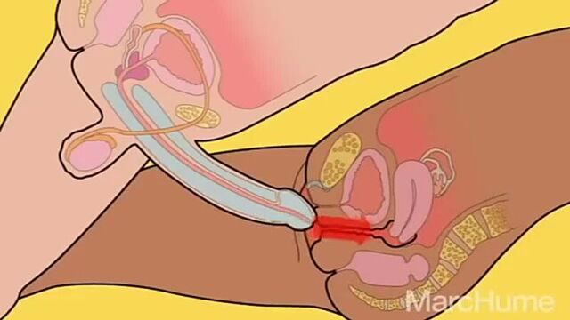 Как работает секс. Пособие для девственников.
